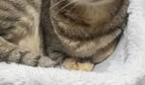 【動画】ラブラブな様子