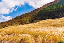 「これ以上は考えられない夢のお宿」　神奈川県の“食事の評価が高い宿”1位に絶賛の声　「料理も部屋も温泉も大満足」「リピーターさんが多いことも頷ける」