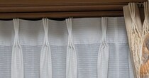 「カーテンにでっかい虫がいる」→ビビりながら見ると……　「鳥肌たった」まさかの光景に「こんなに大きいなんて」「急だと心臓に悪い！」