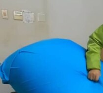 “人をダメにするクッション”をアザラシに使ってみると……　想像以上の結果に「パラダイス……！」「CMになりそう」