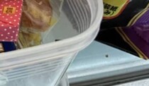 農家が屋外に置いた冷蔵庫→開けてみると……　まさかの光景に「リスみたい」「開ける度、幸せになります」