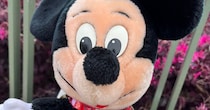 ディズニーでぬいぐるみを持ち歩きたい→セリアのアイテムを使うと……「天才！！！」　目からウロコのアイデアに「これめっちゃ良いね」「真似する!!」