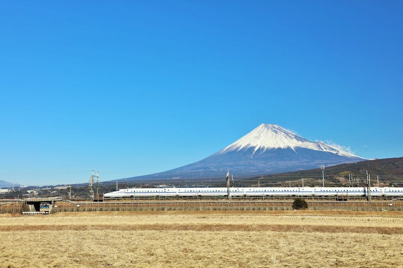 「静岡土産ならこれでしょ」　老舗の“静岡銘菓”が大好評　「モッチモチでおいしい」「もうひと箱買えばよかった」