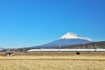 「静岡土産ならこれでしょ」　老舗の“静岡銘菓”が大好評　「モッチモチでおいしい」「もうひと箱買えばよかった」