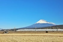 【画像】老舗の“静岡銘菓”