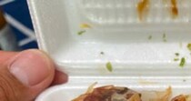 【画像】100円のたこ焼き