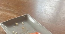 朝、起きた妻が絶句→夫の“食べかけトマト”がどう見ても……「怖い怖い怖い」「見事な擬態」「だまし絵？」