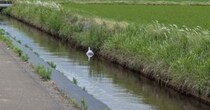 【画像】まさかの正体