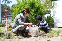 【画像】アイリスオーヤマの“防草グッズ”詳細を見る