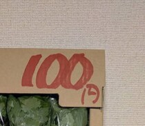「みつば1箱100円！安い！」と即購入→中を見たら……　とんでもない光景に「うらやましい！」「パーティーできるじゃん」