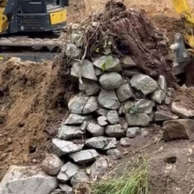 鹿児島県の工事現場で“まさかのもの”出る 鳥肌が立つ光景が68万再生「うわぁあ…」「こんな大量に?」困惑の声