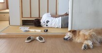 よくある“居間横の和室”→大家さんタジタジの大改造をしたら……　驚きのDIYに「発想がすごい」「お見事」