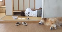 【動画】DIYの様子