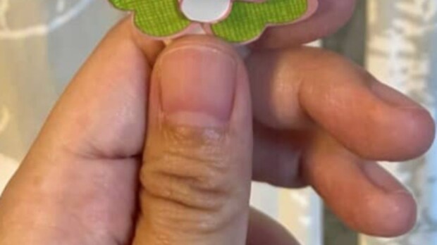 小学生娘が担任の誕生日プレゼントを用意→ティッシュの空き箱が…… 驚きの完成品に「発想が素敵~」「思いつかない!」