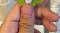 小学生娘が担任の誕生日プレゼントを用意→ティッシュの空き箱が……　驚きの完成品に「発想が素敵～」「思いつかない！」