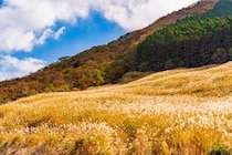 「これ以上は考えられない夢のお宿」　神奈川県の“食事の評価が高い宿”1位に絶賛の声　「料理も部屋も温泉も大満足」「リピーターさんが多いことも頷ける」