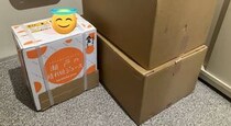 丸亀製麺の“とんでもないキャンペーン”→届いた当選品が297万表示「アツい」「これ応募できる人間が何人いるんだよ……」
