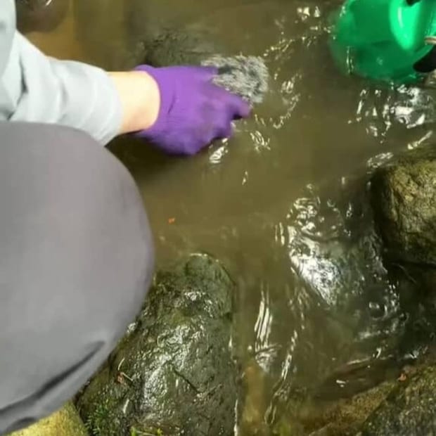 庭の“にごった川”の水を全部抜いてみた→目を疑う結果に「ここまでとは思いませんでした」「凄い！！！」