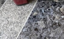 実家に帰った娘→玄関を見ると……　思わず二度見の光景に「目がちゃんとある〜」「床と同化してる」