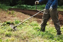 「灌木のカットも全く問題無し」　ハイコーキの“草刈り機”が大好評　「軽自動車でも運べて便利」「トルクがあり最高」