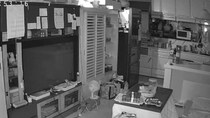 深夜、実家のペットカメラから「シャー」という爆音→映っていたのは……　まさかの光景に「えーー」「これはあかんやつや」