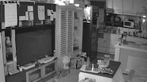 【画像】映りこんだもの（全体を見る）