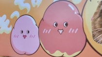 ミスドの“もっちゅりん箱”をくり抜いて、愛猫を入れてみたら……　まさかの光景に「最高じゃん？」「カワイイ」