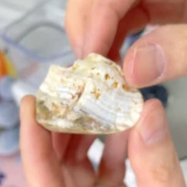 海で拾った地味な石→徹底的に磨くと……　まさかの結果に「驚き」「これがあるからやめられません！」