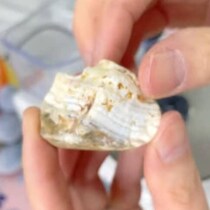 海で拾った地味な石→徹底的に磨くと……　まさかの結果に「驚き」「これがあるからやめられません！」