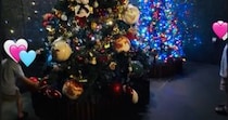 「いじり倒す弟」　浜崎あゆみ、巨大クリスマスツリー登場で息子たちの“個性の違い”あらわに……　兄弟で対照的な行動に「違い愛おしいね」
