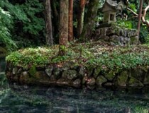 栃木県でとある池を撮影してみると……「宙に浮いてた」　ありえない光景が54万回表示「ここ行きたい……」