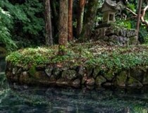 【画像】記事を読む
