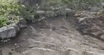 【動画】謎の盛り土の正体