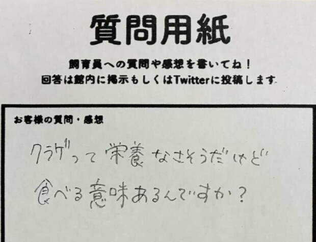 「クラゲって食べる意味あるんですか?」→飼育員の回答は…… 衝撃の事実に「この視点はなかった」「残酷」「勉強になりました」