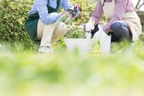 「雑草に気づいたらすぐに刈れるところが素晴らしい」　アイリスオーヤマの“庭用バリカン”が大好評　「驚きの使いやすさ！」「初心者でも大変満足」