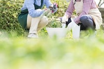 【画像】アイリスオーヤマの“庭用バリカン”