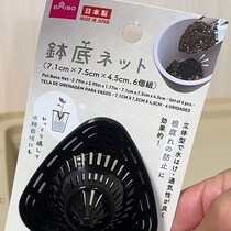 ダイソーの鉢底ネット→レタス6種類の種をまいたら……　1キロ超の“大収穫”に「こんな綺麗になるんですね！」