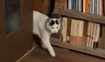 【画像】向かった先