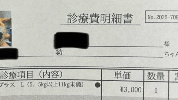 動物病院で渡された診療明細書→「う、うわあ！」　まさかの光景が500万表示「えええええ」「額に入れて飾りたい」