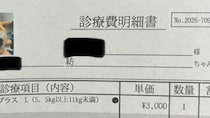 動物病院で渡された診療明細書→「う、うわあ！」　まさかの光景が500万表示「えええええ」「額に入れて飾りたい」