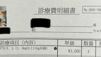 【画像】実際の診療明細（全体を見る）