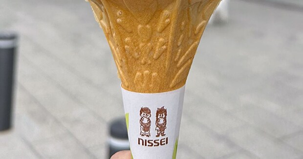 岩手県で見つけた“斬新すぎるソフトクリーム”→二度見必至のビジュアルに「かなり攻めた」「できれば別々で食べたい」