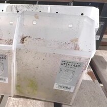 【動画】植え替え、設置の様子
