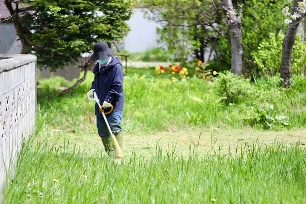 「コツコツ草刈りする人に◎」 コメリの“草刈りアイテム”が好評 「バッテリーにして正解!」「臭いも無く快適」