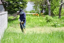 「コツコツ草刈りする人に◎」　コメリの“草刈りアイテム”が好評　「バッテリーにして正解！」「臭いも無く快適」