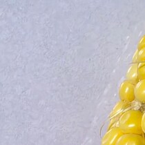 スーパーで買ったトウモロコシ→皮をむいたら……　驚きの姿に「こんなの初めて見た」「突然現れた野生児」