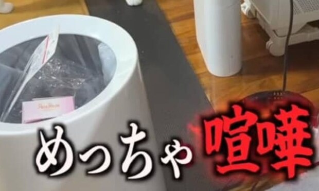 猫を飼っている男女が結婚→2カ月後「大喧嘩勃発」　まさかの光景に「めっちゃ笑った」「強すぎる」「レディース総長かしら」