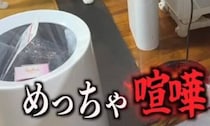 【画像】記事を読む