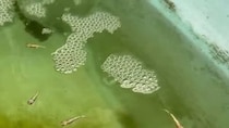 【画像】まさかの変化