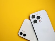 【画像：ランキング16位～1位を見る】